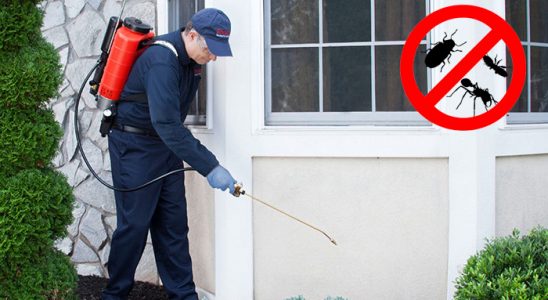 Gölhisar Böcek ve Haşere İlaçlama böcek ilaçlama ve haşere kontrolü — ilaclama-tr.com